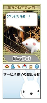 ne2.jpg